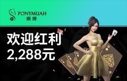 VC韦德国际
