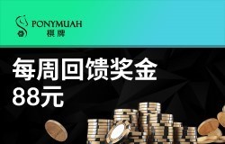 VC韦德国际